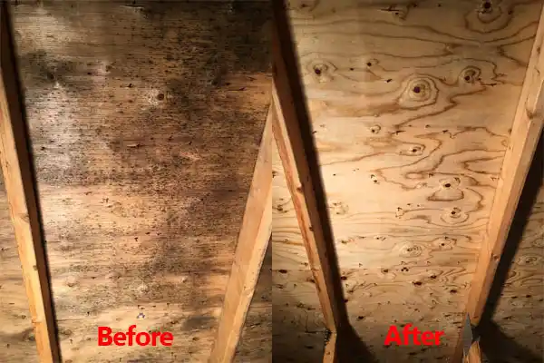 water damage restoration service Reisterstown